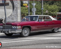 TSR Watermark - 0584